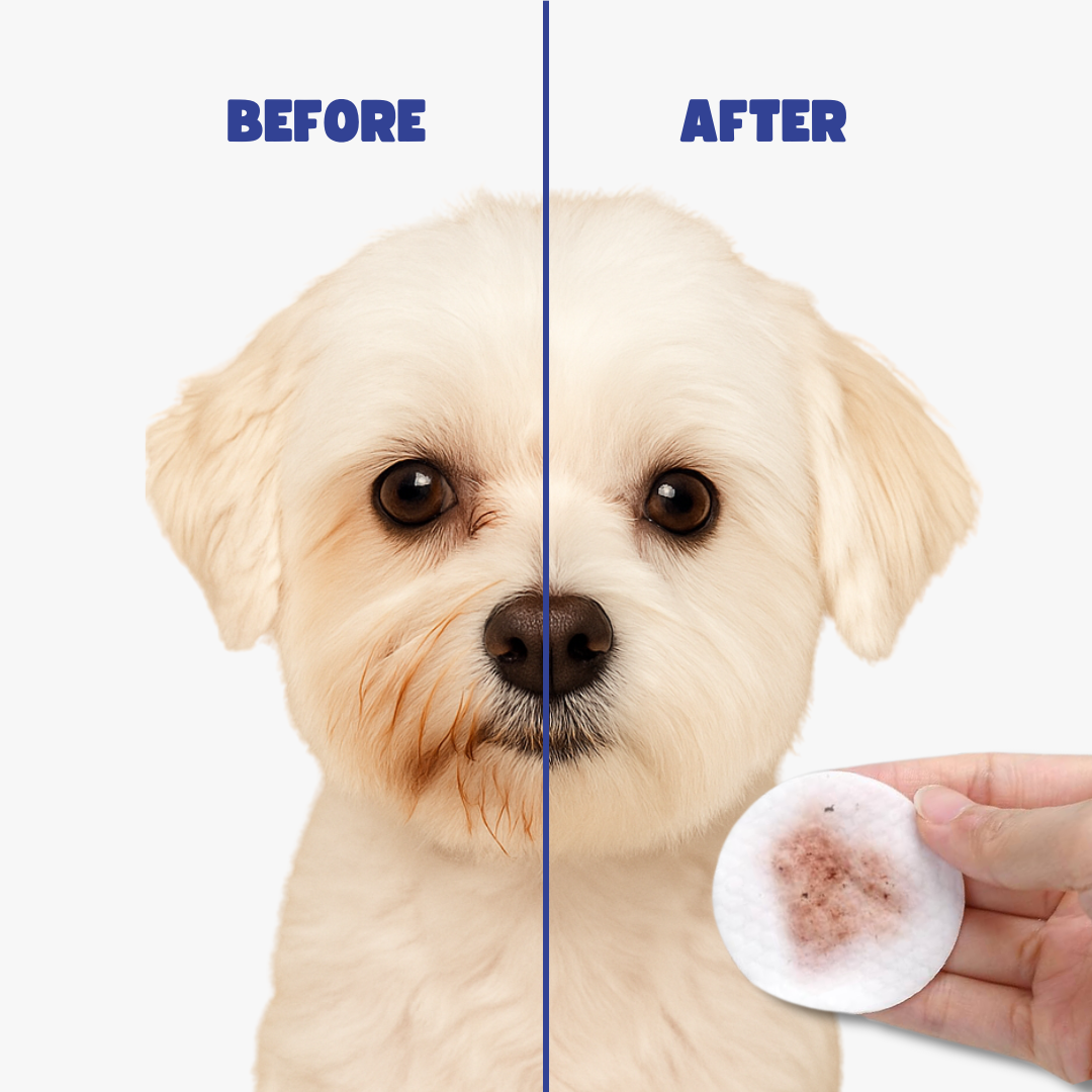 Gentle Pet Eye Tear Stain Remover Pads Dogs & Cats 120pcs