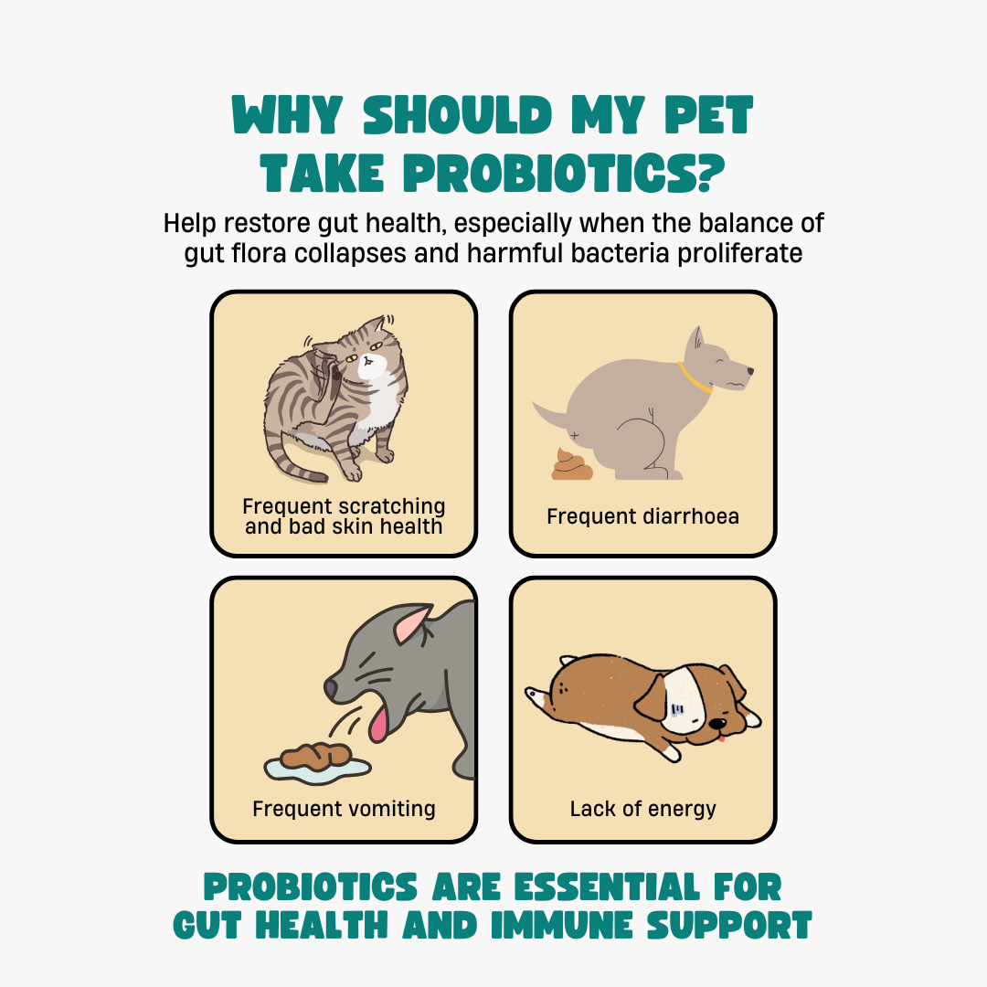 Pre+Probiotics with Digestive Enzymes for Dogs & Cats