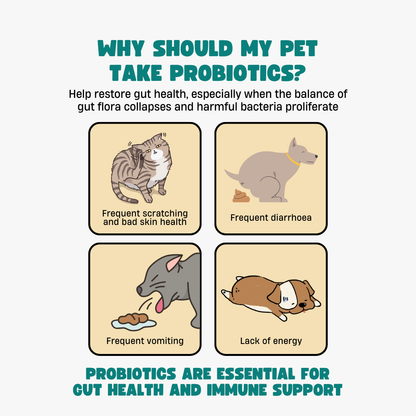 Pre+Probiotics with Digestive Enzymes for Dogs & Cats